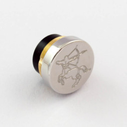 Sagittarius Ss Shined