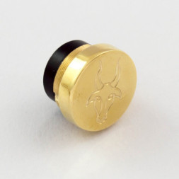 Capricorn Brass Shined