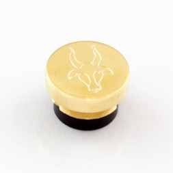 Capricorn Brass Shined