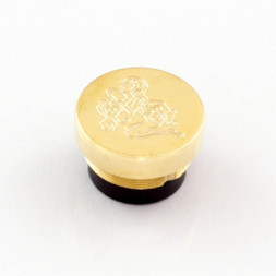 Aquarius Brass Shined