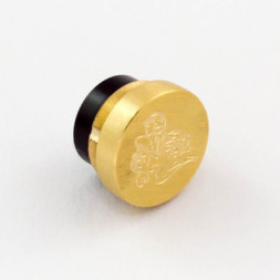 Aquarius Brass Matte