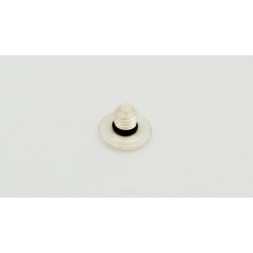 Bottom contact for Nemesis Copper