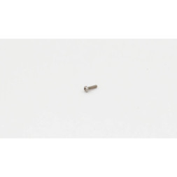 Scythe Ss Base screw