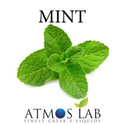 Mint Flavour 10ml