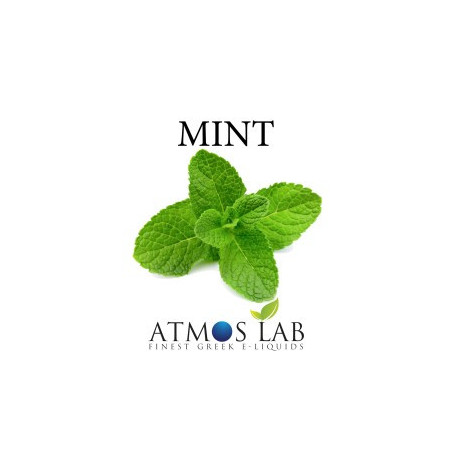 Mint Flavour 10ml