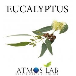 Eucalyptus Flavour 10ml
