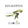 Eucalyptus Flavour 10ml