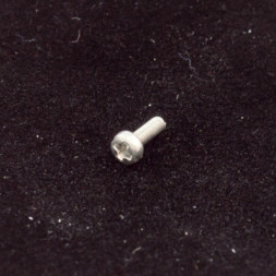 Striker ss Negative Pole Screw