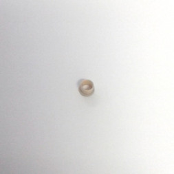 Positive pole upper plastic for Striker 