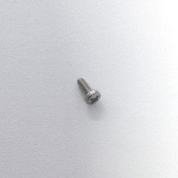 Positive Pole Ss screw for Striker