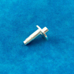 Positive Pole for Anima