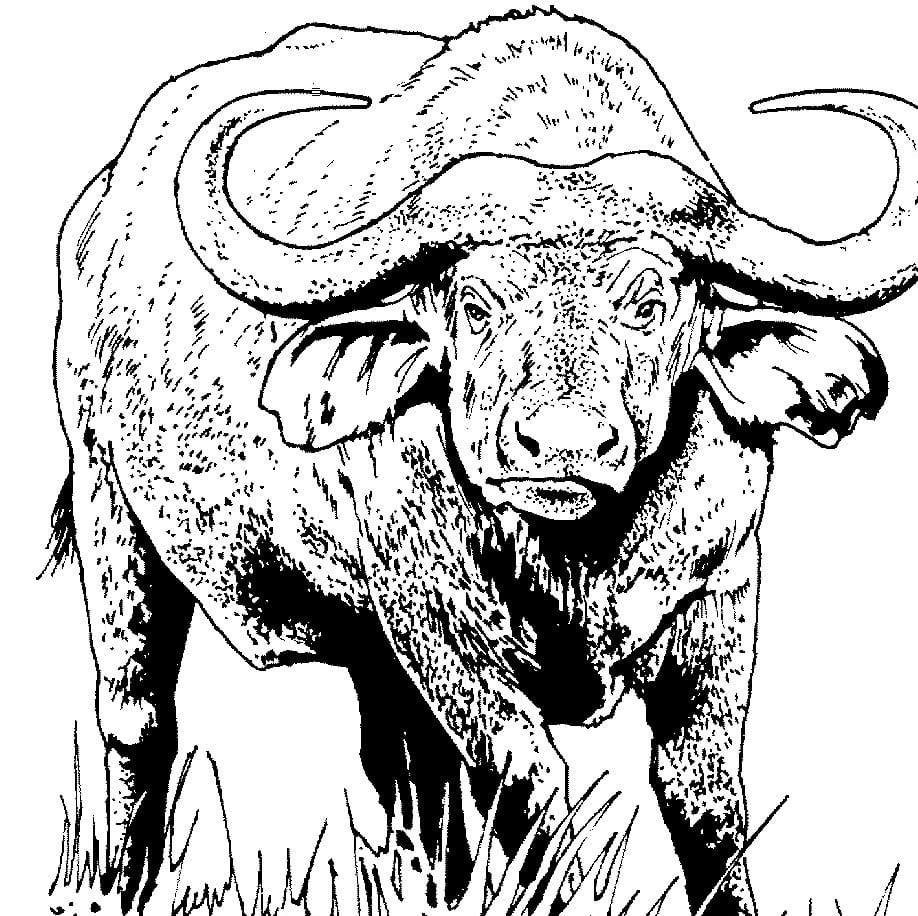 Kerkini Artisan Soapery